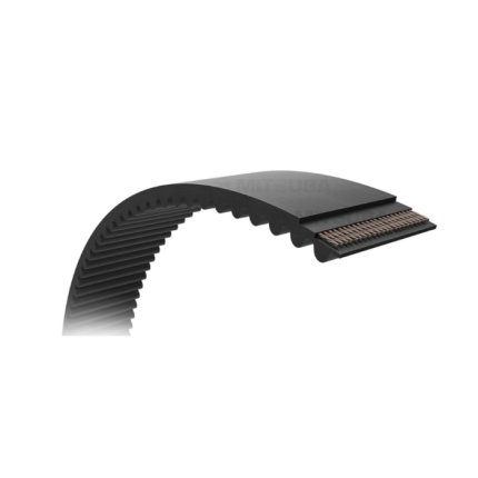TIMING BELTS