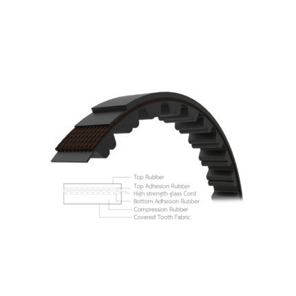 TIMING BELT PK PLUS